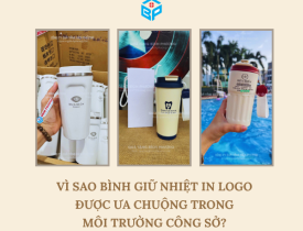 VÌ SAO BÌNH GIỮ NHIỆT IN LOGO ĐƯỢC ƯA CHUỘNG TRONG MÔI TRƯỜNG CÔNG SỞ?